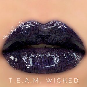 NEW, Unopened OUT OF STOCK T.E.A.M. Wicked Lipsense